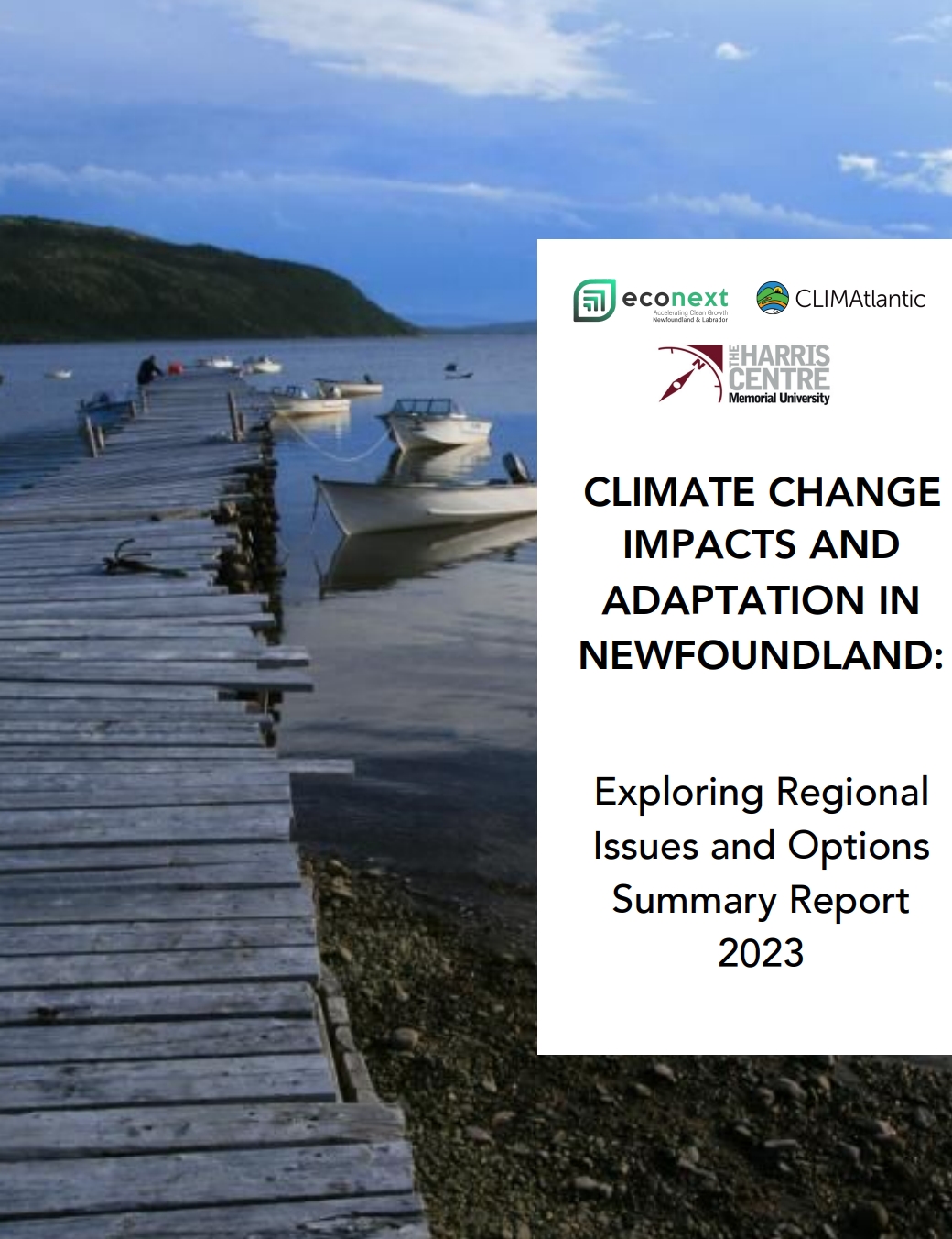 Climate Change Impacts and Adaptation: Regional Workshop Summary